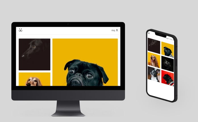 Foto da home page da rede social Dogs.